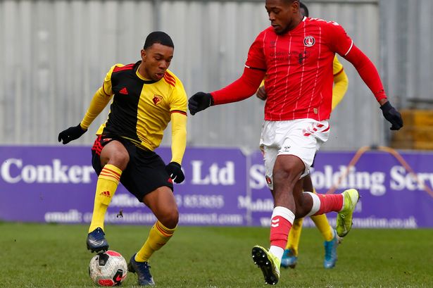 Kane Crichlow Watford